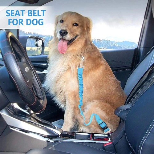 Dog car seat belt extra - seat,