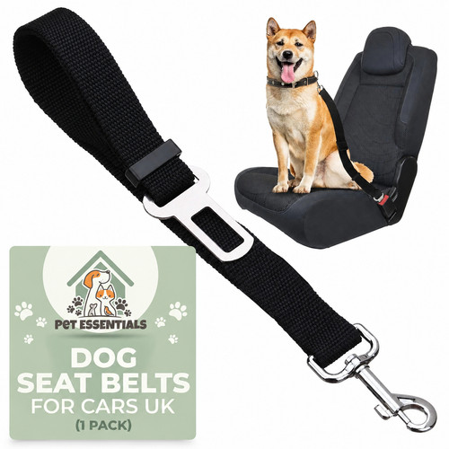 Anti shock dog seat belt - dog, pet