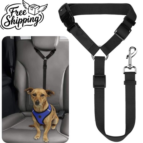 Anti shock dog seat belt - anti,