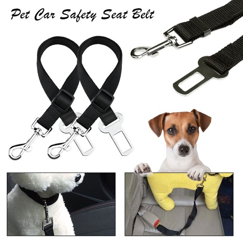 Pack pet dog - 1-2,