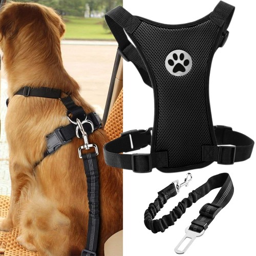 Dog car harness seatbelt - car,