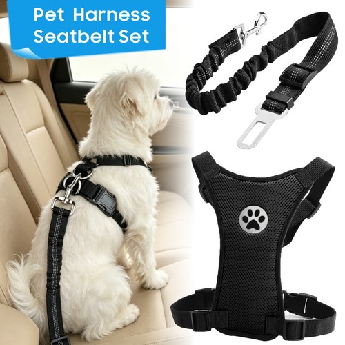 Dog car harness seatbelt - car, set