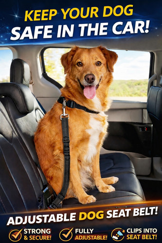 2pcs anti shock pet dog - shock, car