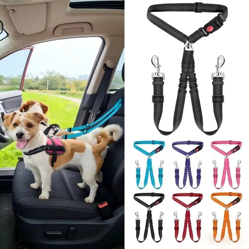 Double headed pet - safety, seat