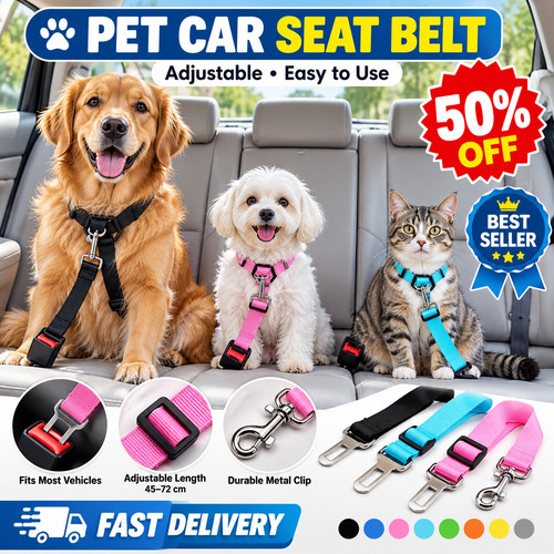 Pet dog seat - dog, belt