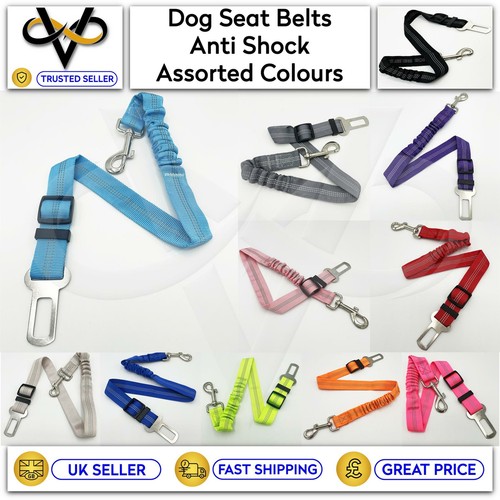 Pet dog car seat - seat, anti