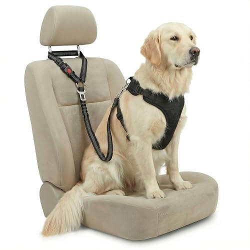 Anti shock dog seat belt - dog,