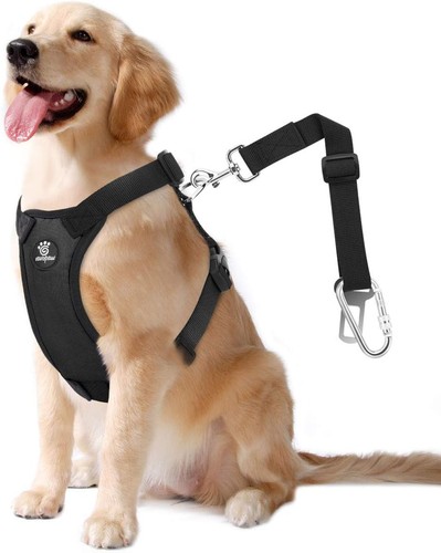 Pack dog seat belt - pack,
