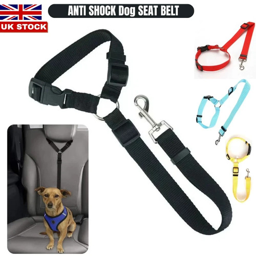Anti shock dog seat - belt, pet