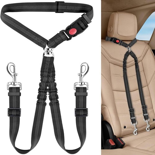 Double dog seat belt - belt, harness