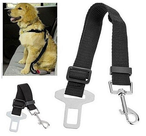 Pet dog seat belt - dog,