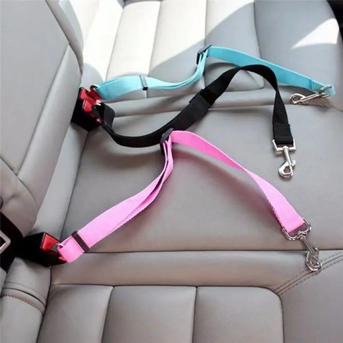 Pet dog seat belt - pet,