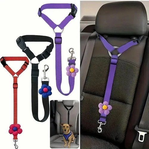 Dog seat belt - seat, vehicle