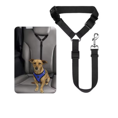 Headrest pet dog anti - dog, shock