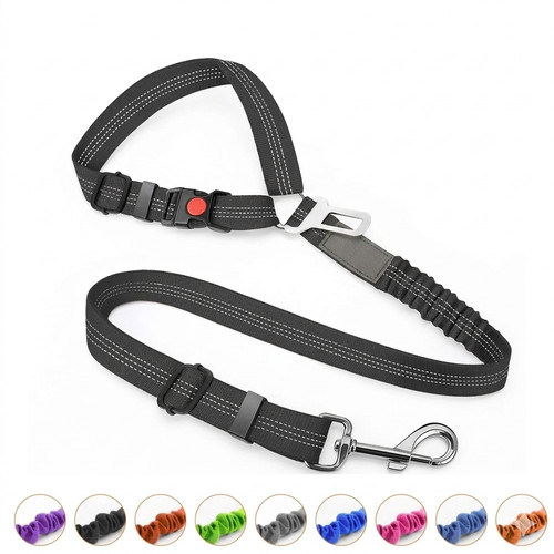 Dog seat belt - dog,