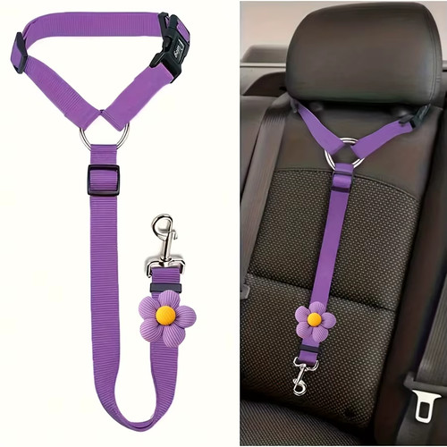 Dog seat belt - belt, vehicle
