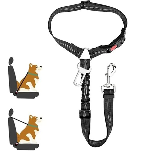 Anti shock dog - dog, seat