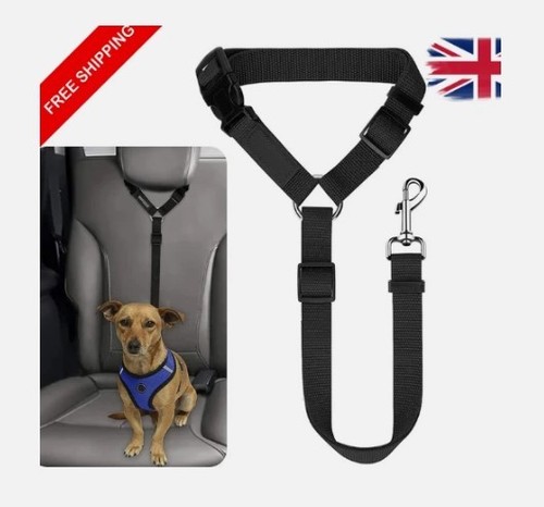 Anti shock dog - anti,