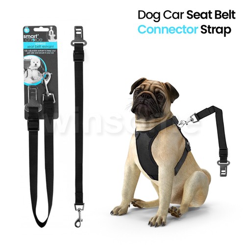 Dog car seat belt - dog,