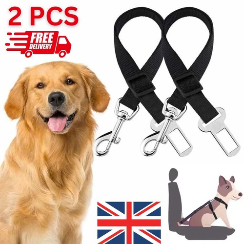 Pack pet dog - 2, seat