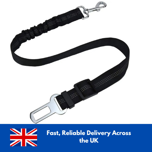 Anti shock dog - dog, pet