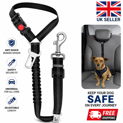 Anti shock dog seat belt - shock,