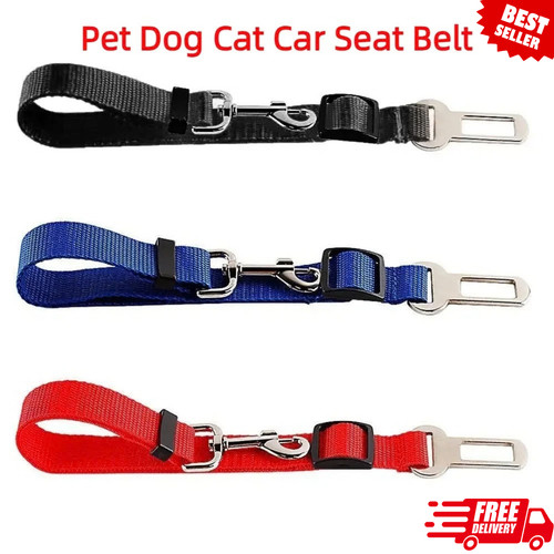 Pet dog seat belt - dog,