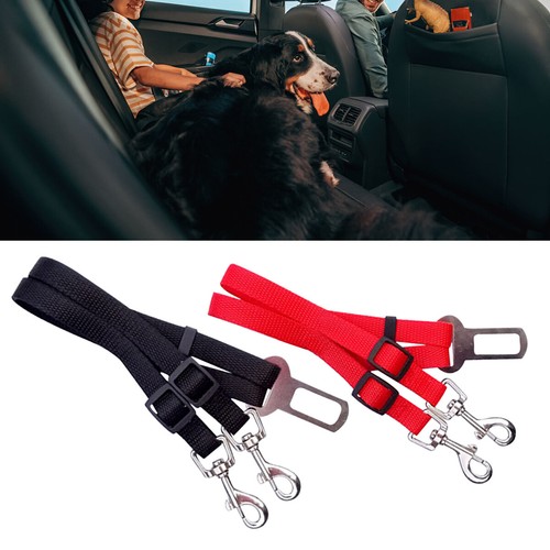 Adjustable double dog car seat - car,