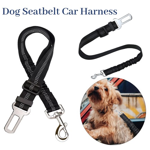 2pcs anti shock pet dog - pet,