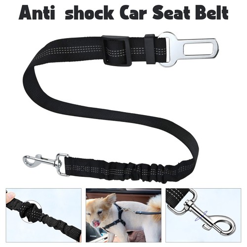 Anti shock pet dog - anti,