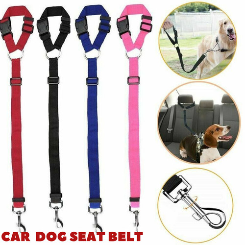 Pet dog headrest - dog, shock