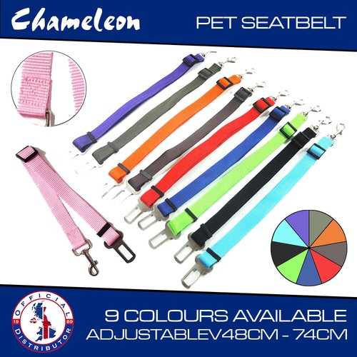 Dog car seat - car, adaptor