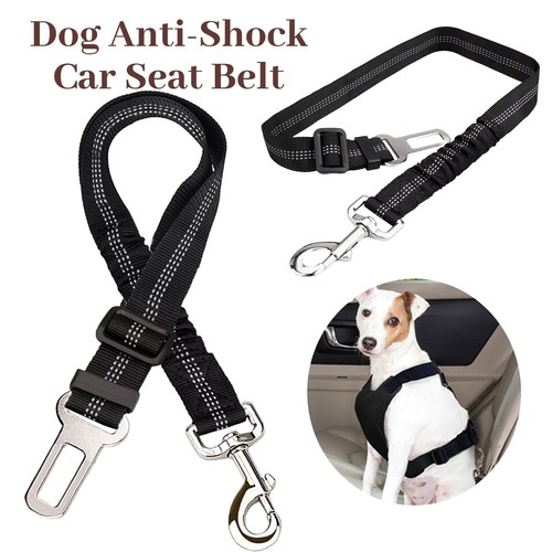 Anti shock dog pet - dog,