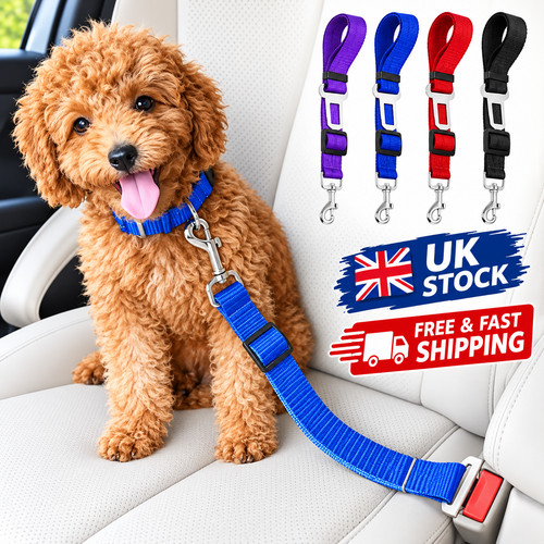 Kct dog seat - dog, belt