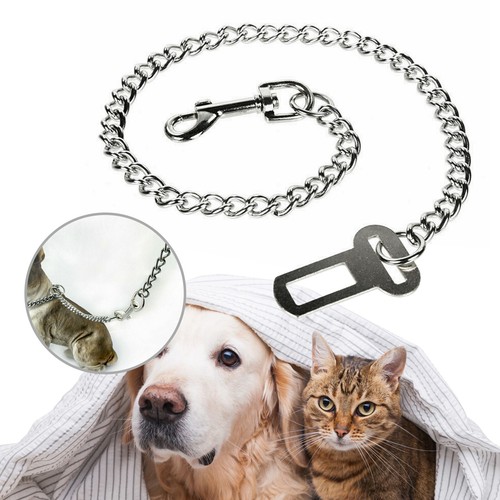 Metal chain dog seat belt - chain,