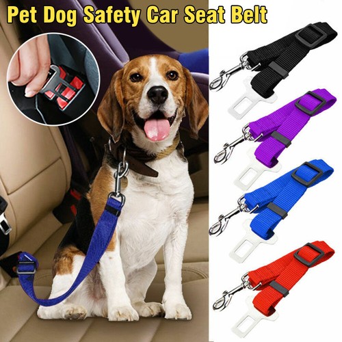 Dog pet safety seat belt - dog,