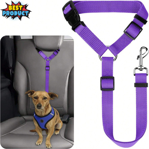 Dog cat safety - dog, seat