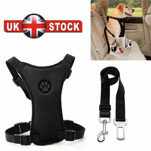 Puppy pet dog car harness - puppy, seat