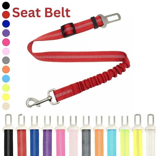 Pet dog car - seat, belt