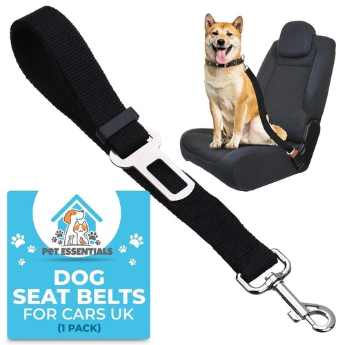 Pet dog seat - pet, belt