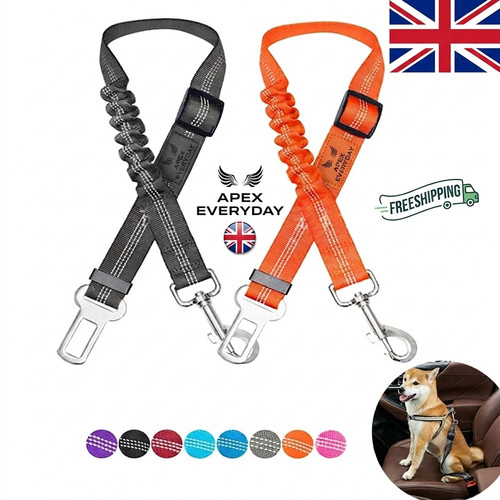 Anti shock pet - anti, car