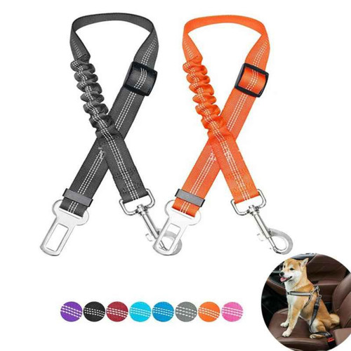 Anti shock pet dog - shock,