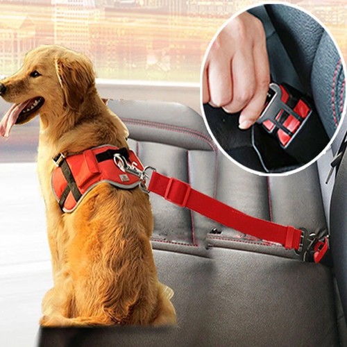 Adjustable pet cat - adjustable,
