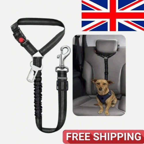 Anti shock dog seat belt - shock,