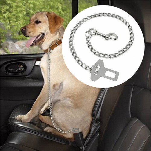 Metal steel chew - dog, car