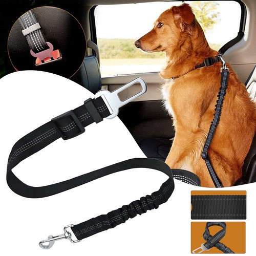 Pet dog car - pet, seat
