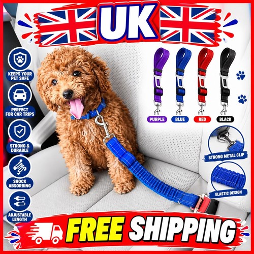 Adjustable dog car seat - dog,