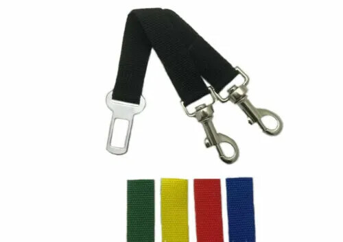 Twin lead dog restraint strap - lead,