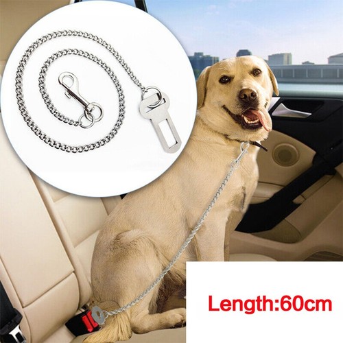 Stainless steel chew - steel, dog