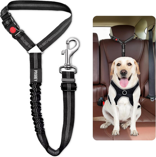 Dog seat belts for - for, uk